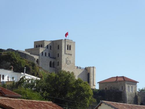 P1030862