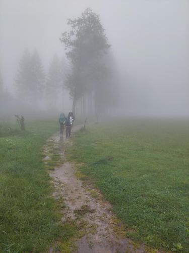 IMG 20240519 082434